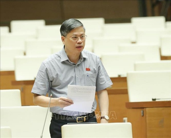 ĐBQH Nguyễn Sỹ Cương phát biểu tại hội nghị (Ảnh: TTX VN)