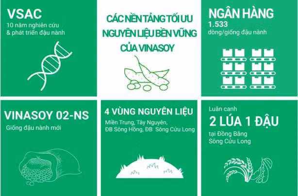 Những thành quả bước đầu của Vinasoy trong nỗ lực phát triển bền vững vùng nguyên liệu Những thành quả bước đầu của Vinasoy trong nỗ lực phát triển bền vững vùng nguyên liệu