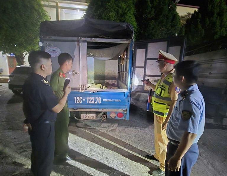 Xe ô tô chở lợn không rõ nguồn gốc bị tạm giữ Xe ô tô chở lợn không rõ nguồn gốc bị tạm giữ