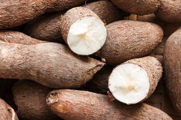 Sắn có nhiều tiềm năng xuất khẩu vào thị trường Trung Quốc Sắn có nhiều tiềm năng xuất khẩu vào thị trường Trung Quốc