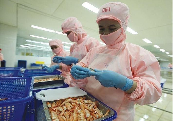 Quy định kiểm dịch thủy sản gây khó khăn cho doanh nghiệp