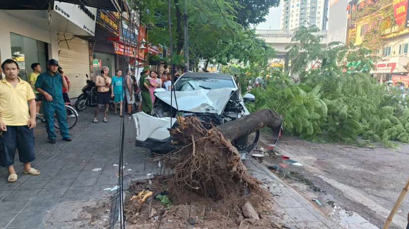 Chiếc xe húc đổ gốc cây xanh bên đường mới dừng lại Chiếc xe húc đổ gốc cây xanh bên đường mới dừng lại