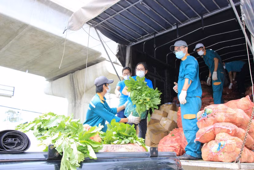 Rau, củ, quả của người dân Đắk Lắk đã đến với TP.HCM Rau, củ, quả của người dân Đắk Lắk đã đến với TP.HCM