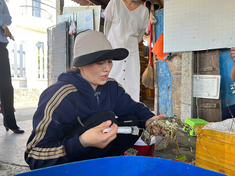 Bà X. đang bơm tạp chất vào tôm hùm đã chết thì bị phát hiện Bà X. đang bơm tạp chất vào tôm hùm đã chết thì bị phát hiện