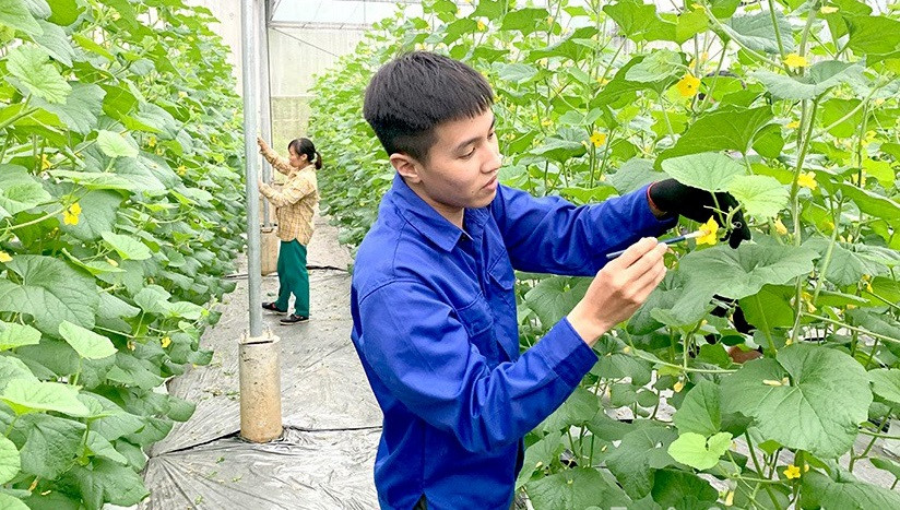 Tổng điều tra nông thôn, nông nghiệp 2025 bắt đầu từ ngày 1-7 Tổng điều tra nông thôn, nông nghiệp 2025 bắt đầu từ ngày 1-7