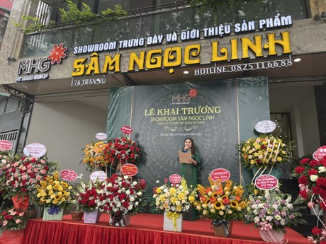 Phạm Mỹ Hạnh đã "vẽ" dự án với quy mô cực lớn để thu hút nhà đầu tư nhưng thực chất là nhằm lừa đảo, chiếm đoạt tài sản Phạm Mỹ Hạnh đã "vẽ" dự án với quy mô cực lớn để thu hút nhà đầu tư nhưng thực chất là nhằm lừa đảo, chiếm đoạt tài sản