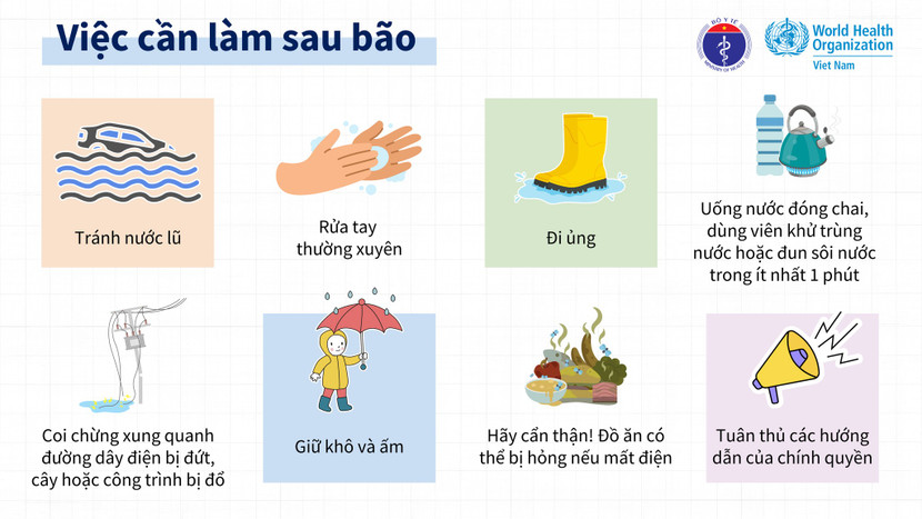 Và những việc cần làm sau bão