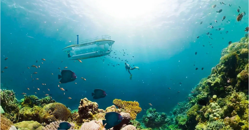 Dịch vụ tàu lặn trên vịnh Nha Trang Dịch vụ tàu lặn trên vịnh Nha Trang