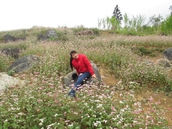 Nao lòng mùa tam giác mạch trên cao nguyên đá Đồng Văn ảnh 6