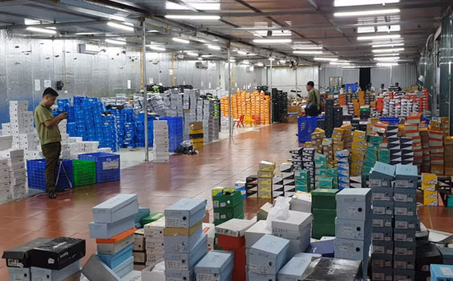 Lực lượng chức năng liên tiếp phát hiện các kho hàng lậu, hàng nhái bán thông qua thương mại điện tử