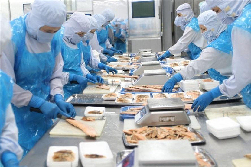 Do số giờ làm việc được trả lương ít hơn, thu nhập trung bình cũng giảm