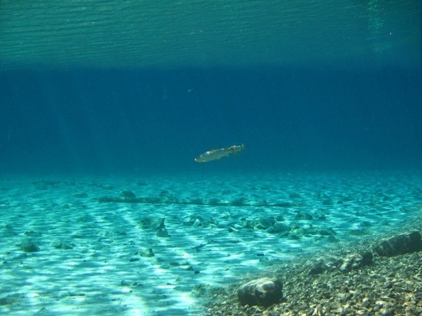 Thú vị: Công viên cứ vào mùa hè lại biến thành hồ nước ảnh 9