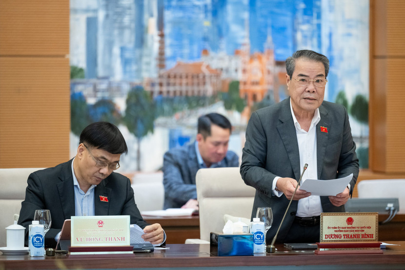 Trưởng Ban Dân nguyện của UBTVQH Dương Thanh Bình trình bày báo cáo