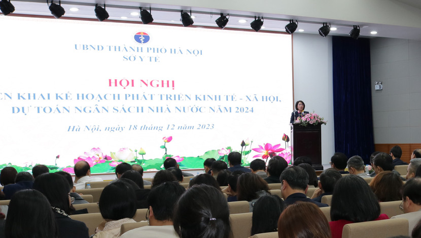 Giám đốc Sở Y tế Hà Nội Trần Thị Nhị Hà phát biểu tại hội nghị