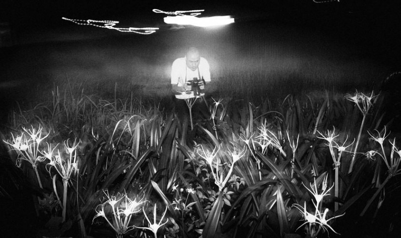 Nghệ sĩ thị giác Nguyễn Phương