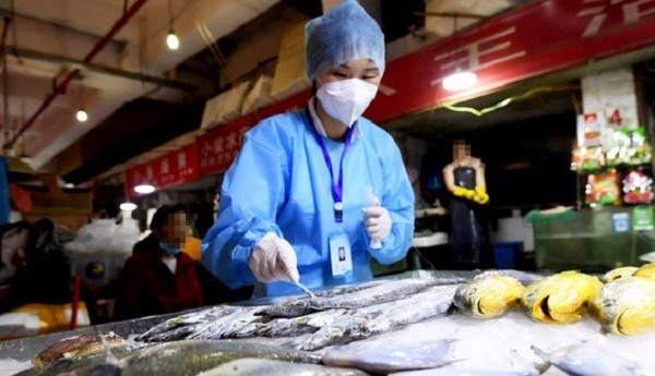 Một số nước đã phát hiện virus corona trên bao bì thực phẩm đông lạnh Một số nước đã phát hiện virus corona trên bao bì thực phẩm đông lạnh