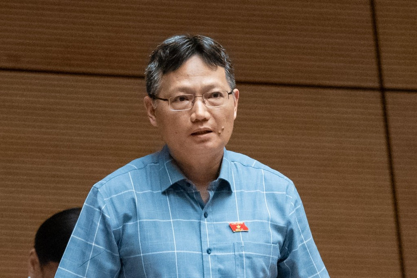 Đại biểu Lê Hoàng Hải (đoàn Đồng Nai) phát biểu