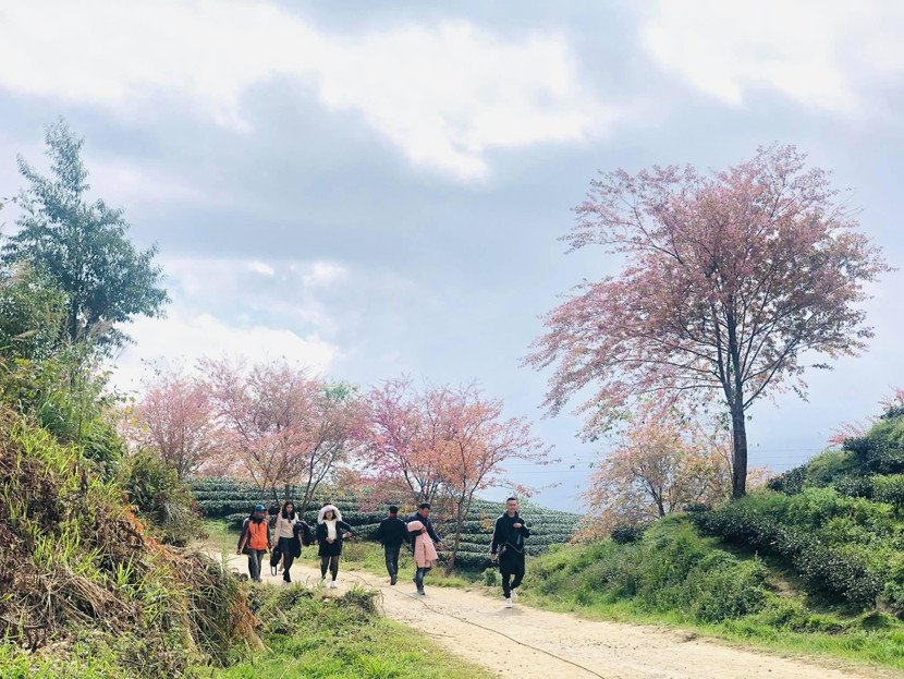 Bạn nên lựa chọn điểm đến ít được săn lùng dịp Tết để có không gian bình yên