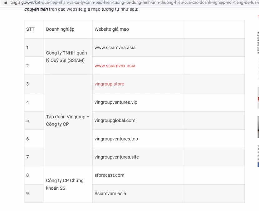 Các website giả mạo doanh nghiệp lớn