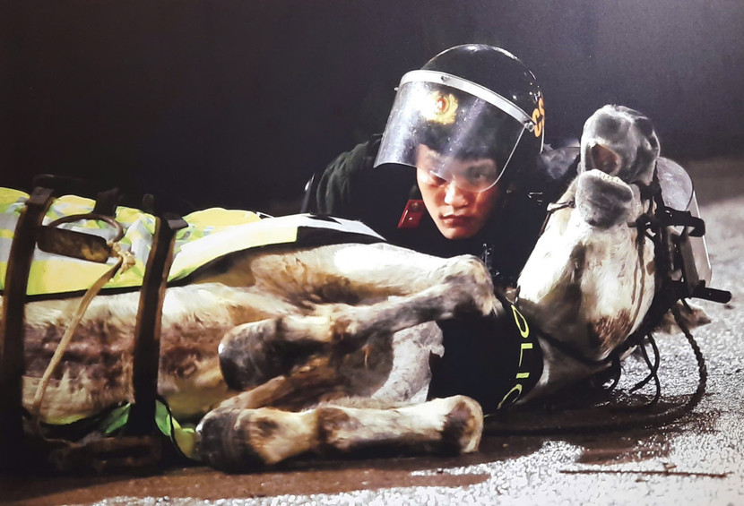 Bức ảnh “Chiến sĩ kỵ binh” của nghệ sĩ nhiếp ảnh Nguyễn Long Giang đoạt giải A