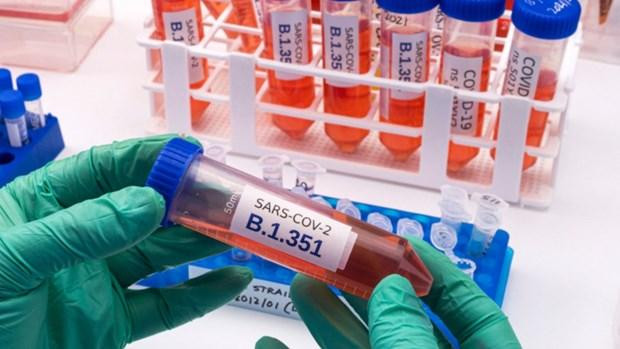 Giải trình tự gen virus SARS-CoV-2