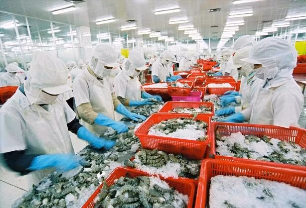 Xuất khẩu thủy sản khôi phục ngoạn mục