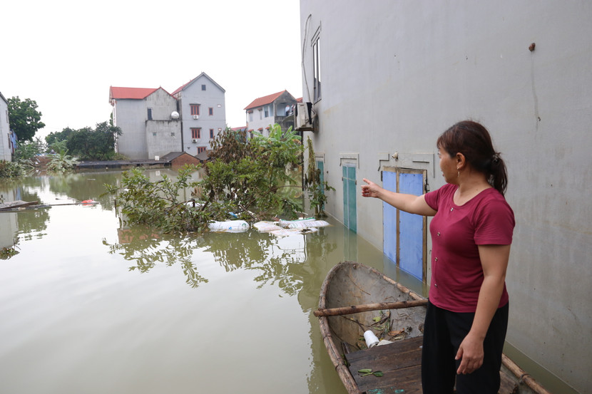 Mảnh vườn kề bên nhà chị Nguyễn Thị Bài, nước còn ngập tới ngọn cây Mảnh vườn kề bên nhà chị Nguyễn Thị Bài, nước còn ngập tới ngọn cây