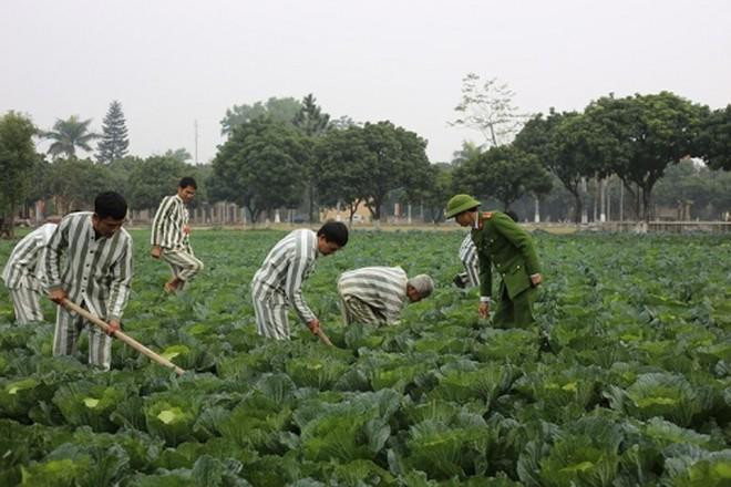 Người bị tạm giữ, tạm giam có các quyền được gặp thân nhân, người bào chữa, tiếp xúc lãnh sự (Ảnh minh họa) Người bị tạm giữ, tạm giam có các quyền được gặp thân nhân, người bào chữa, tiếp xúc lãnh sự (Ảnh minh họa)