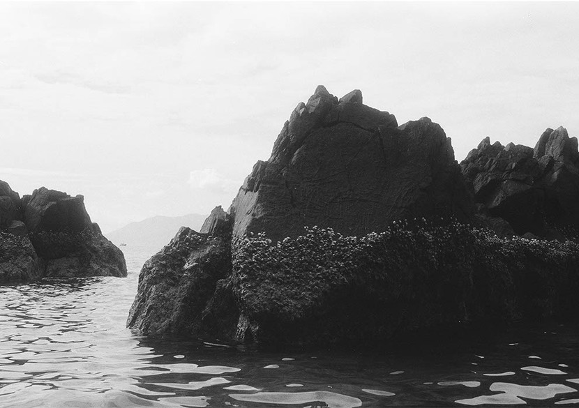 Tác phẩm của Nguyễn Võ Bảo Hân