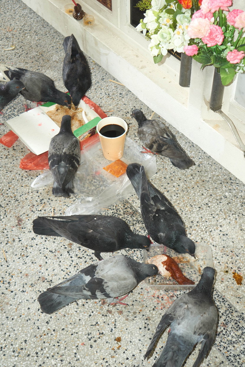 Tác phẩm của Đan Trần