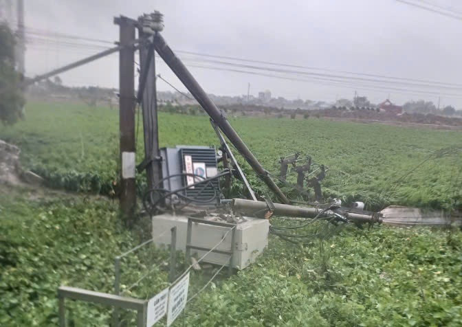 Cột điện gãy đổ do gió bão Cột điện gãy đổ do gió bão