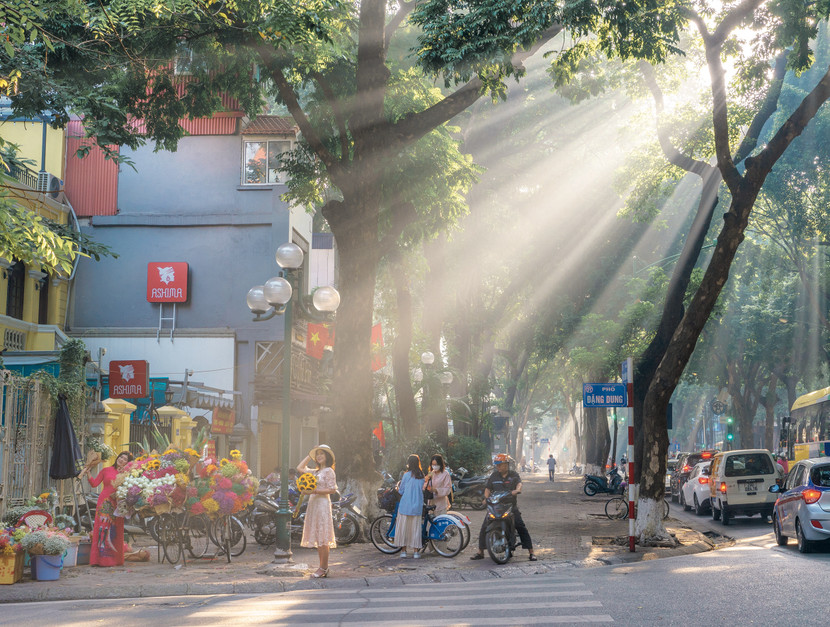 Tác phẩm của Ngô Lâm Thanh