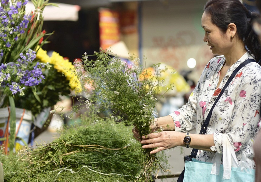 Thấy mùi già, là thấy Tết Thấy mùi già, là thấy Tết