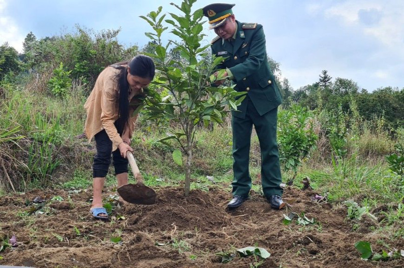 “Bác nông dân” quân hàm xanh cùng bà con chăm sóc vườn mẫu với những cây cho giá trị kinh tế cao
