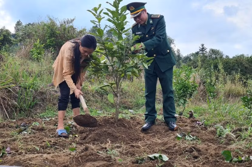 “Bác nông dân” quân hàm xanh cùng bà con chăm sóc vườn mẫu với những cây cho giá trị kinh tế cao
