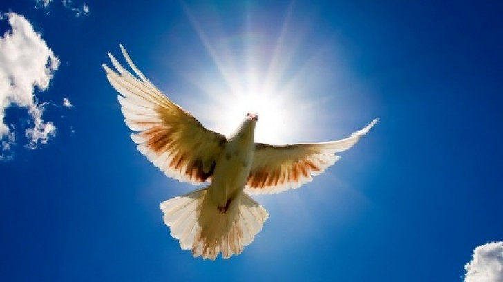 "Bài ca hy vọng" đã làm nên tên tuổi của nhạc sĩ Văn Ký