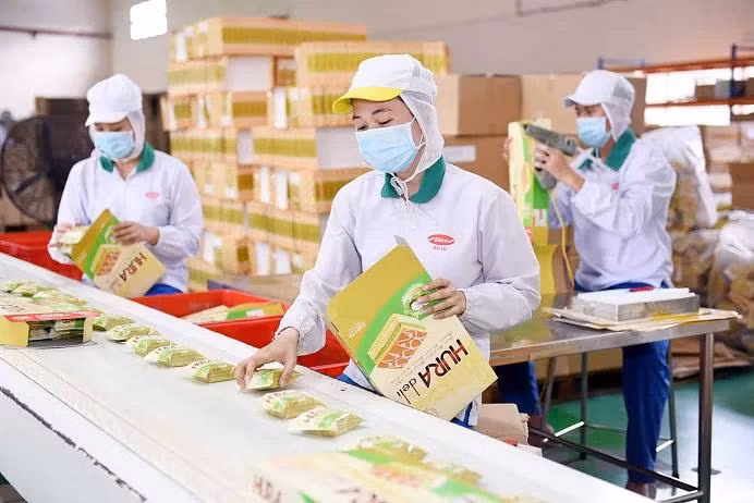 Doanh nghiệp đang trên đà phục hồi kinh tế