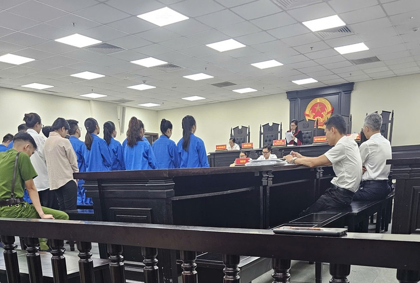 Ổ nhóm tội phạm do Bùi Trung Đức cầm đầu bị đưa ra xét xử tại tòa.