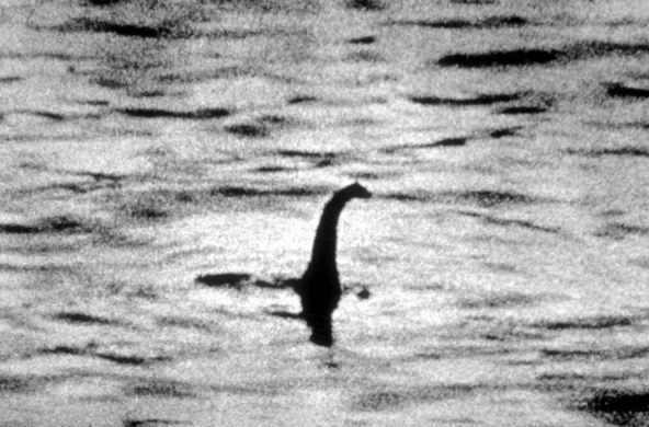 Bằng chứng mới về sự tồn tại của quái vật hồ Loch Ness? ảnh 2