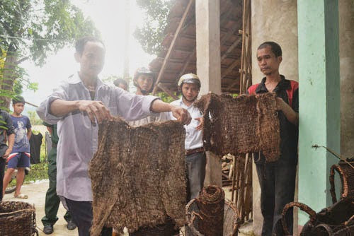 Cận cảnh những đồ vật "không đụng hàng" của 2 bố con "người rừng" ảnh 14