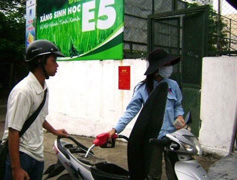 Đưa xăng sinh học vào sử dụng đúng lộ trình ảnh 1