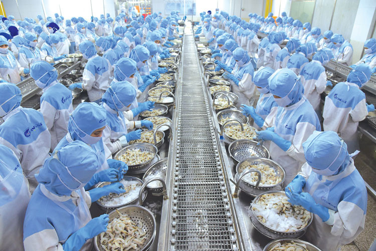 Doanh nghiệp thủy sản đề nghị tháo gỡ khó khăn, giảm thanh tra kiểm tra Doanh nghiệp thủy sản đề nghị tháo gỡ khó khăn, giảm thanh tra kiểm tra