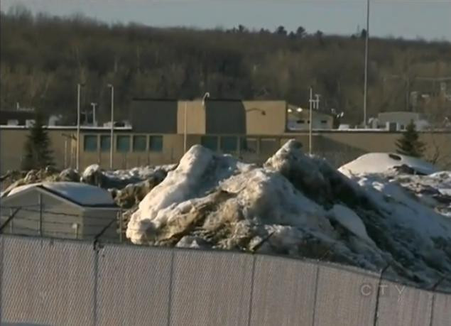 Vượt ngục như phim hành động ảnh 3