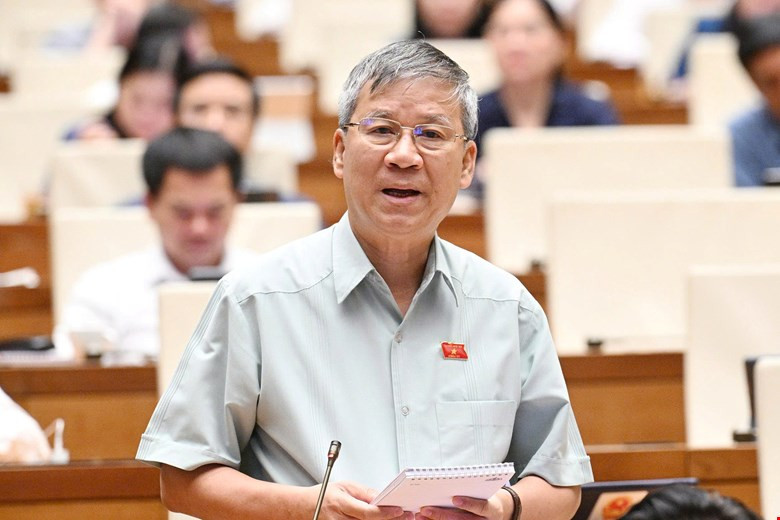 ĐBQH Nguyễn Anh Trí phát biểu