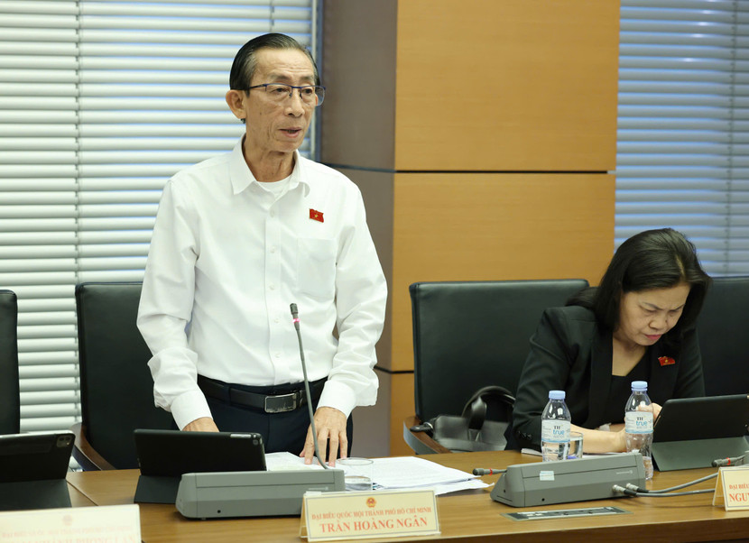 ĐBQH Trần Hoàng Ngân (đoàn TP.HCM) phát biểu ĐBQH Trần Hoàng Ngân (đoàn TP.HCM) phát biểu