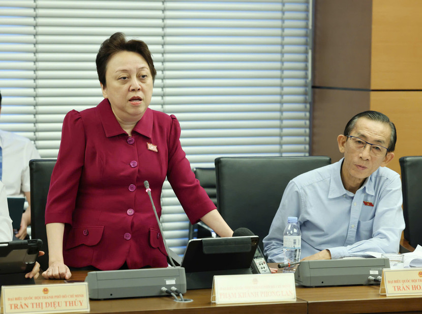 ĐBQH Phạm Khánh Phong Lan (đoàn TP.HCM) phát biểu thảo luận tổ ĐBQH Phạm Khánh Phong Lan (đoàn TP.HCM) phát biểu thảo luận tổ