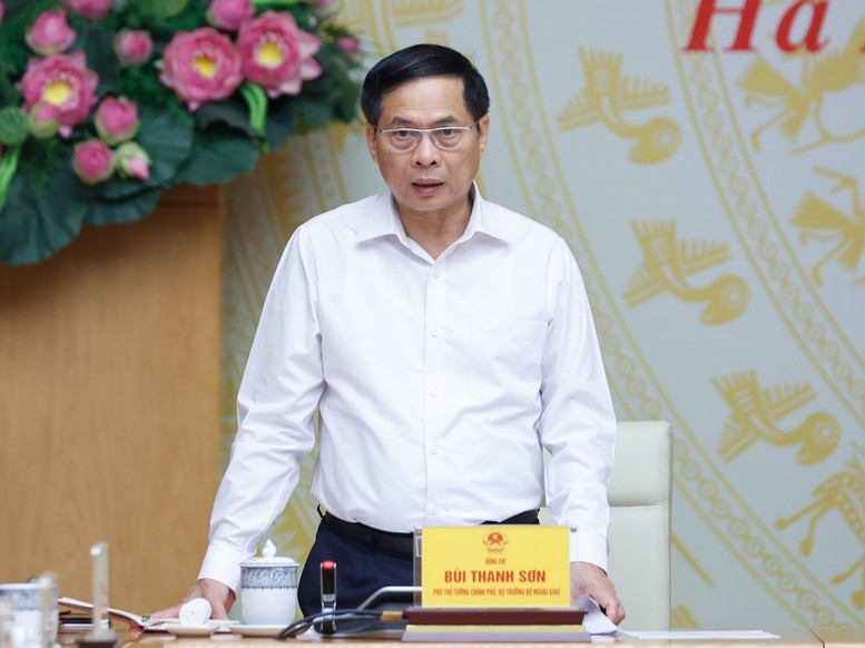 Phó Thủ tướng Bùi Thanh Sơn phát biểu tại cuộc họp