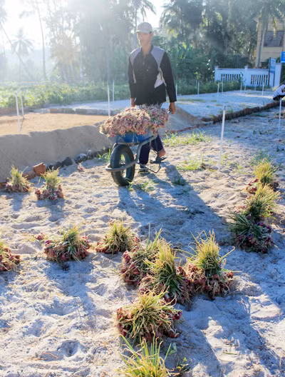 Nhịp sống hối hả trên quê hương Hải đội Hoàng Sa ảnh 4