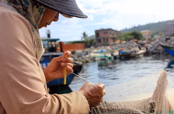 Nhịp sống hối hả trên quê hương Hải đội Hoàng Sa ảnh 9