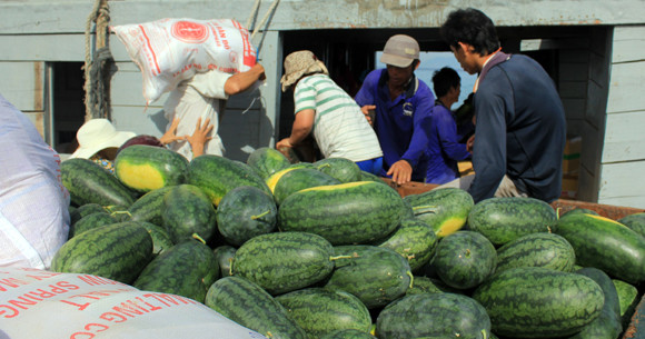 Nhịp sống hối hả trên quê hương Hải đội Hoàng Sa ảnh 2